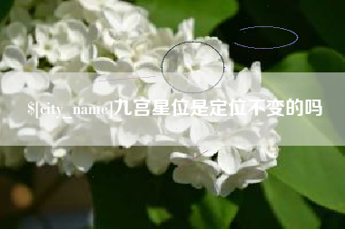 芜湖九宫星位是定位不变的吗