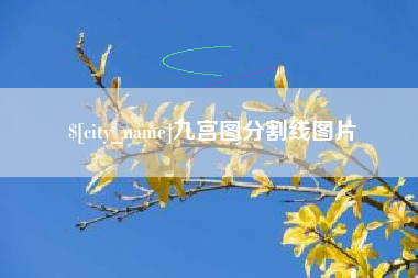 芜湖九宫图分割线图片