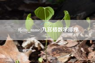 芜湖九宫格数字排序