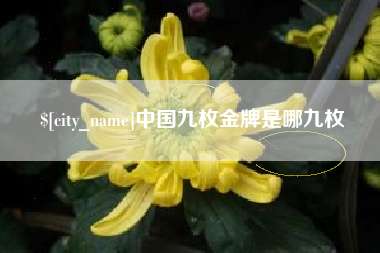 芜湖中国九枚金牌是哪九枚