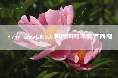 芜湖2025大利方向和不利方向图