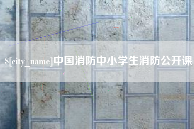 芜湖中国消防中小学生消防公开课