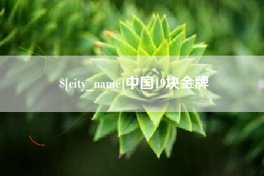 芜湖中国19块金牌