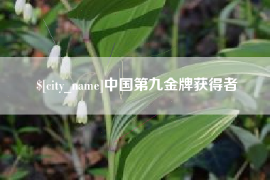 芜湖中国第九金牌获得者