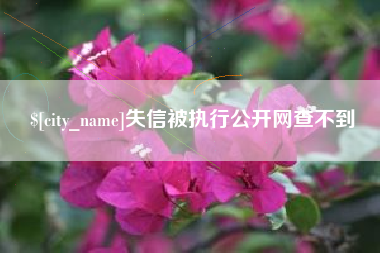 芜湖失信被执行公开网查不到