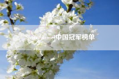 芜湖中国冠军榜单