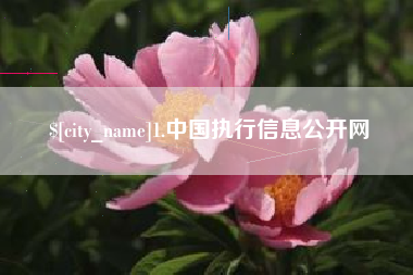 芜湖1.中国执行信息公开网