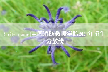 芜湖中国消防救援学院2024年招生分数线