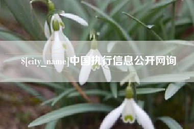 芜湖中国执行信息公开网询