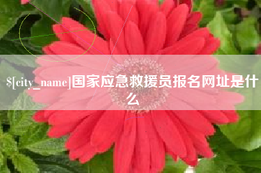 芜湖国家应急救援员报名网址是什么