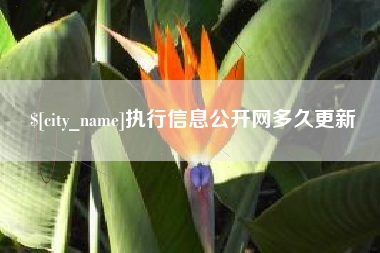 芜湖执行信息公开网多久更新