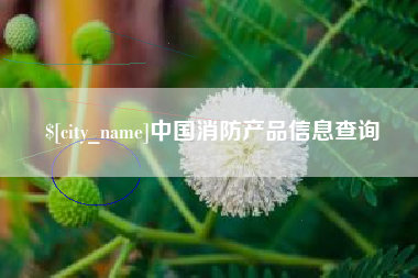 芜湖中国消防产品信息查询