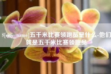 芜湖五千米比赛领跑员是什么-他们就是五千米比赛领跑员