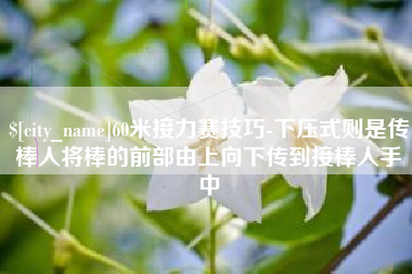 芜湖60米接力赛技巧-下压式则是传棒人将棒的前部由上向下传到接棒人手中
