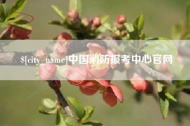 芜湖中国消防报考中心官网