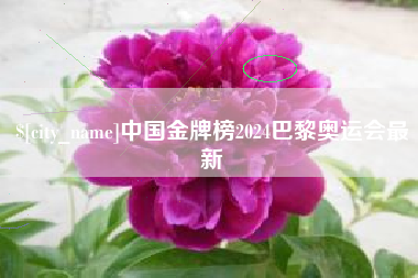 芜湖中国金牌榜2024巴黎奥运会最新