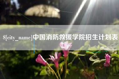芜湖中国消防救援学院招生计划表