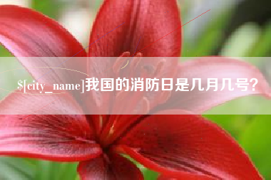 芜湖我国的消防日是几月几号？