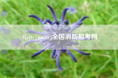 芜湖全国消防招考网