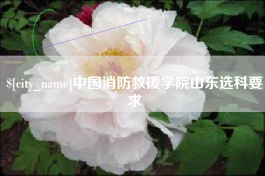 芜湖中国消防救援学院山东选科要求