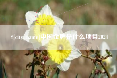芜湖中国金牌是什么项目2024