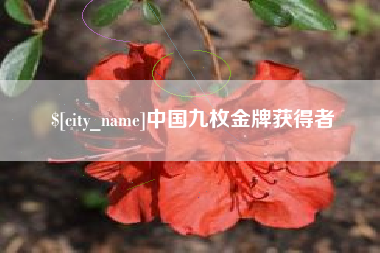 芜湖中国九枚金牌获得者