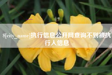 芜湖执行信息公开网查询不到被执行人信息