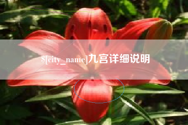 芜湖九宫详细说明
