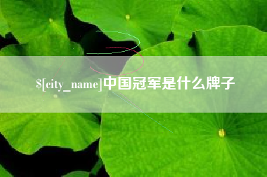 芜湖中国冠军是什么牌子
