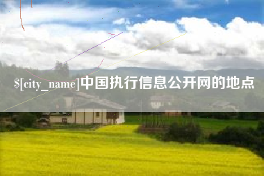 芜湖中国执行信息公开网的地点