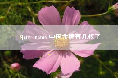 芜湖中国金牌有几枚了