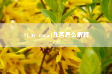 芜湖九宫怎么解释
