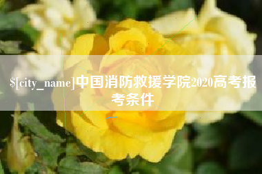 芜湖中国消防救援学院2020高考报考条件