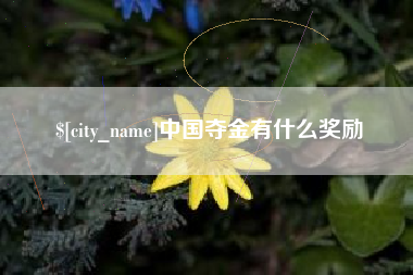 芜湖中国夺金有什么奖励