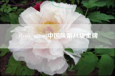 芜湖中国队第八块金牌