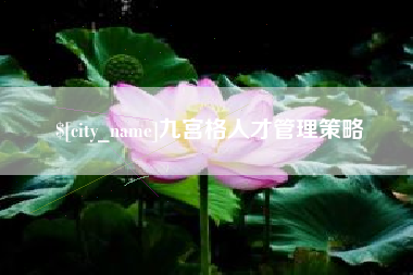 芜湖九宫格人才管理策略