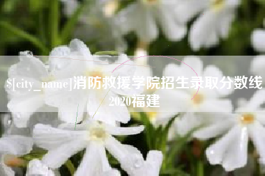 芜湖消防救援学院招生录取分数线2020福建