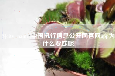 芜湖中国执行信息公开网官网app为什么要钱呢