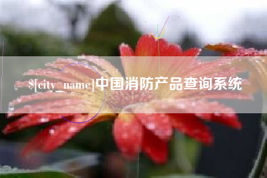 芜湖中国消防产品查询系统