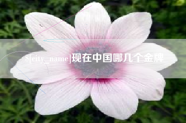芜湖现在中国哪几个金牌