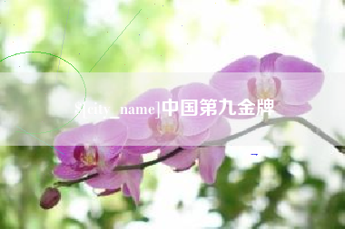 芜湖中国第九金牌