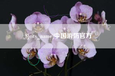 芜湖中国消防官方