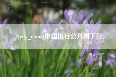 芜湖中国执行公开网下载