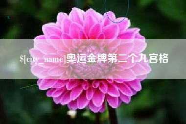 芜湖奥运金牌第二个九宫格
