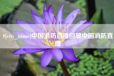 芜湖中国消防直播回放中国消防直播