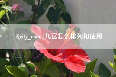 芜湖九宫怎么排列和使用