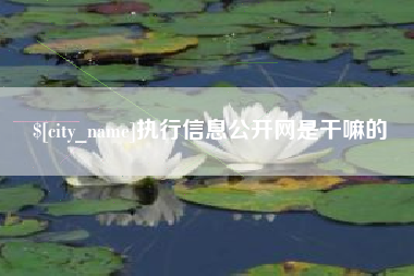 芜湖执行信息公开网是干嘛的