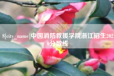 芜湖中国消防救援学院浙江招生2020分数线