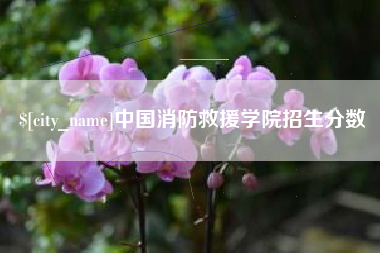 芜湖中国消防救援学院招生分数
