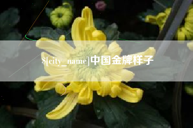 芜湖中国金牌样子